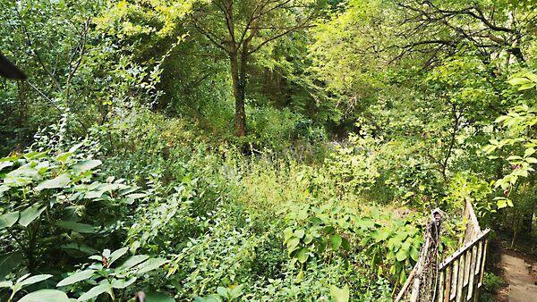 Budapest, II. kerület képe