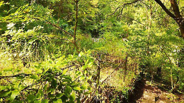 Budapest, II. kerület 2. képe