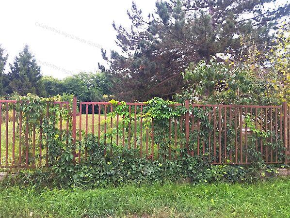 Veresegyház 2. képe