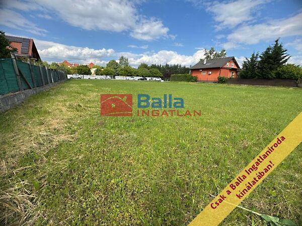 Temető, Dunaharaszti képe