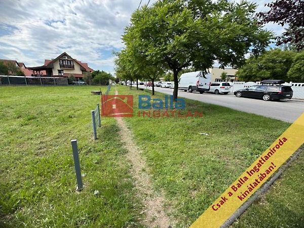 Temető, Dunaharaszti 2. képe