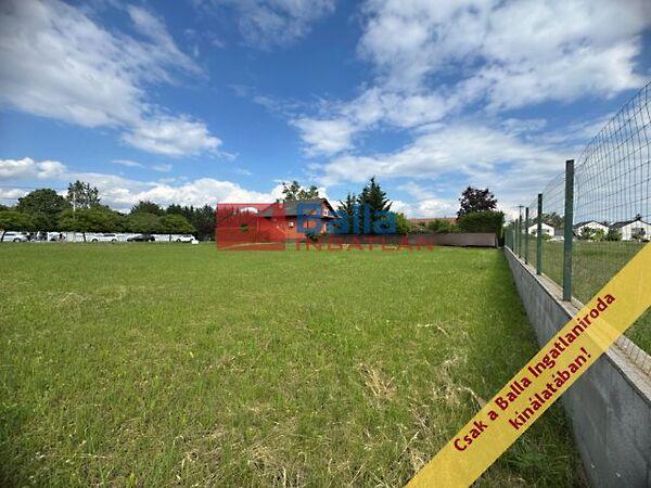 Temető, Dunaharaszti 3. képe