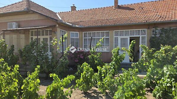 Tiszaalpár 2. képe