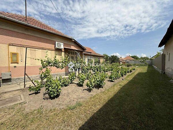 Tiszaalpár 3. képe