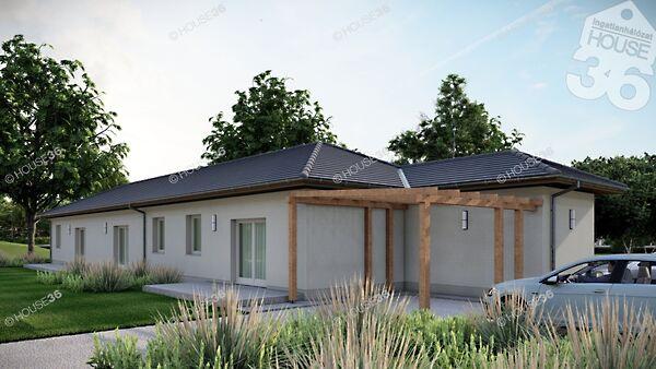 Hajtány, Kecskemét képe