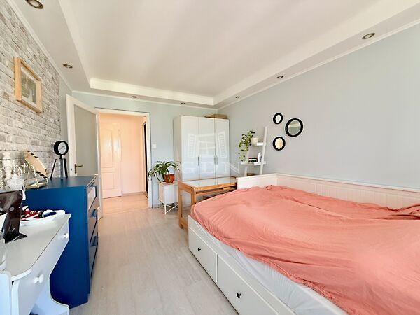 Szőlő, Budapest, III. kerület 2. képe