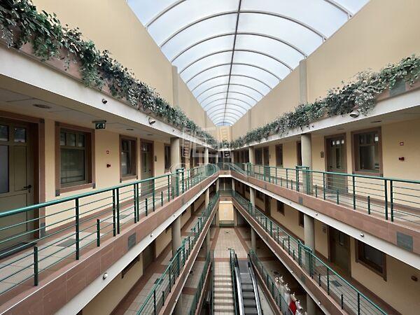 Székesfehérvár képe