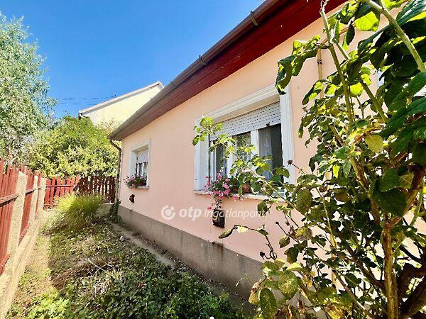 Táncsics Mihály, Jászapáti képe