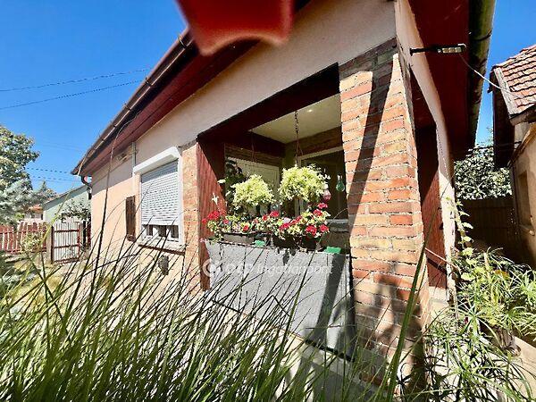 Táncsics Mihály, Jászapáti 2. képe