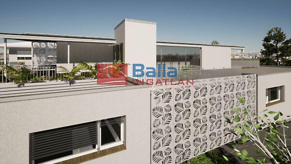 Kedvelt, Zamárdi 2. képe