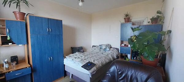 Dr.Csányi László, Vác 3. képe