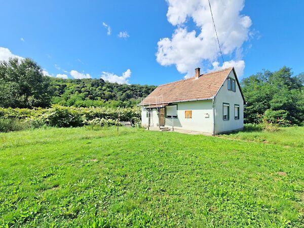 Erdő széli házikó, nagy, Söjtör képe