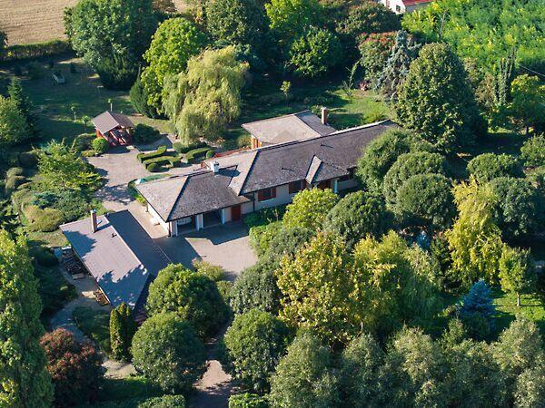 Kossuth Lajos, Birján képe