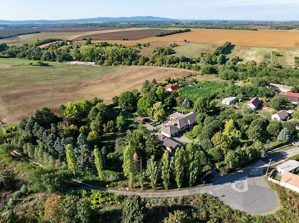 Kossuth Lajos, Birján 2. képe