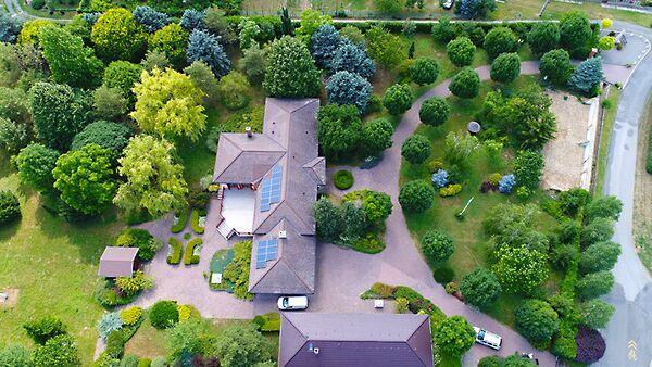 Kossuth Lajos, Birján 3. képe