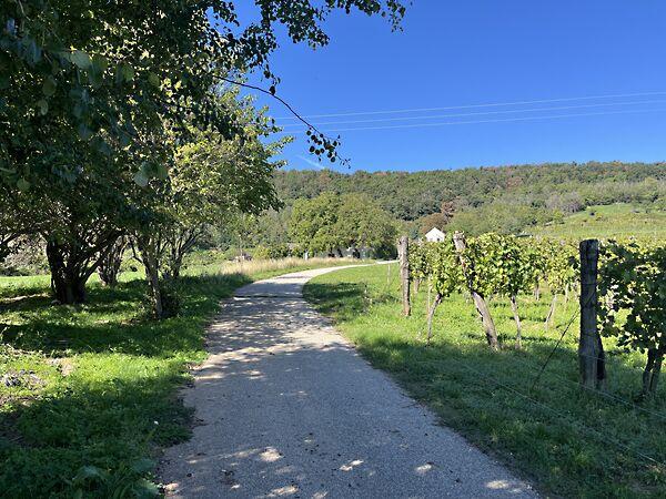 Balatonrendes 3. képe