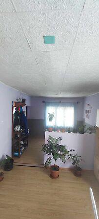 Béke, Tard 2. képe