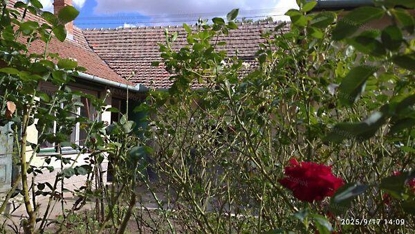 Tiszaföldvár 2. képe