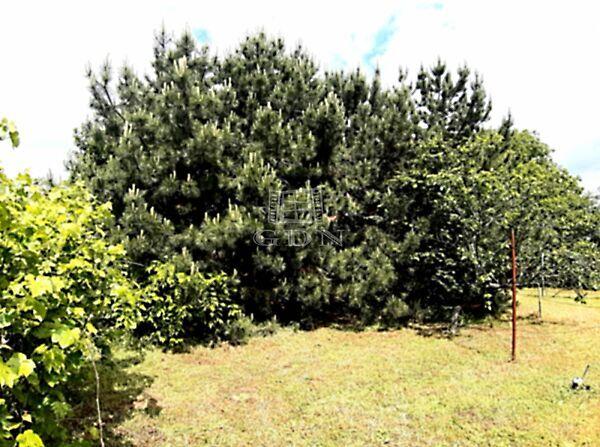 Mendei, Budapest, XVII. kerület 3. képe