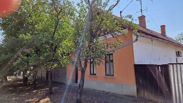 Tótkomlós 2. képe