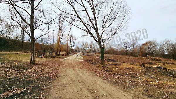 Martonvásár 2. képe