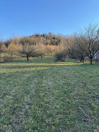 Zalaszentgrót 2. képe