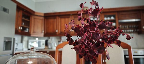 Szigetszentmiklós, Szigetszentmiklós 2. képe