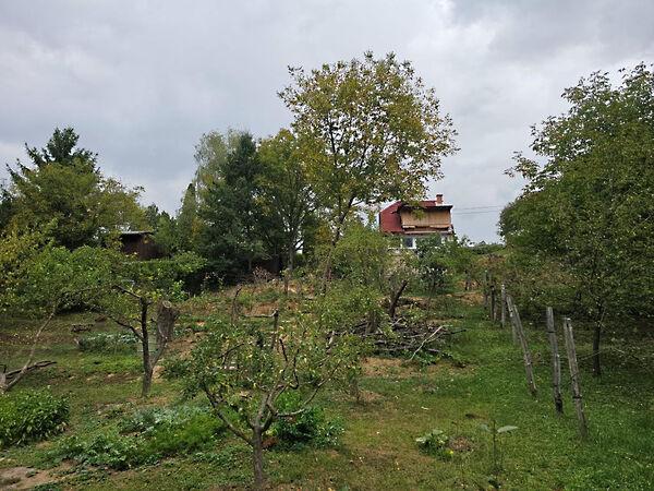 Százszorszép, Kaposvár 3. képe