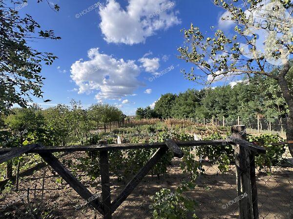 Petőfi Sándor, Kunadacs 2. képe