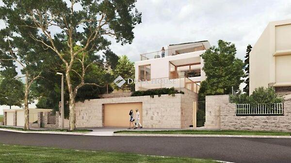 Surányi Miklós, Pécs 3. képe