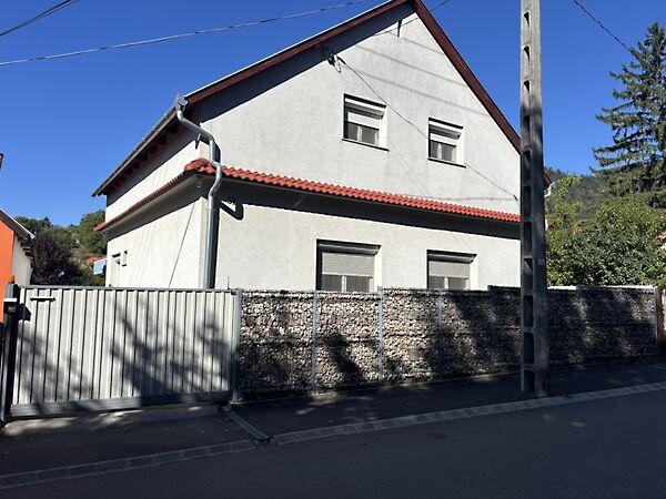 Kossuth Lajos, Hosszúhetény képe