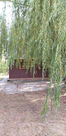 Bonom, Gyomaendrőd 3. képe