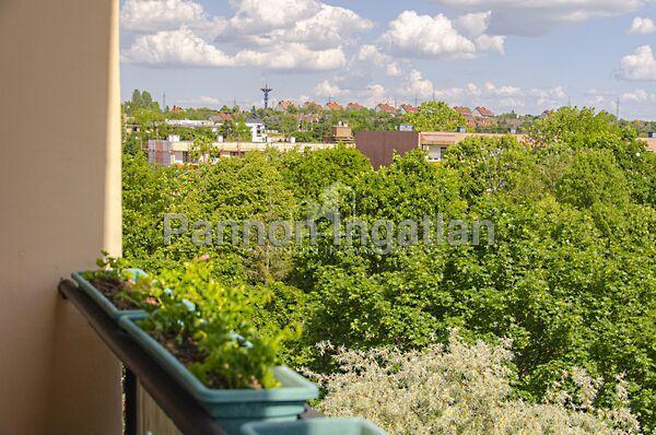 Egyetem, Veszprém 2. képe