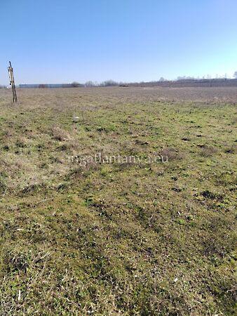 Alsónémedi 2. képe