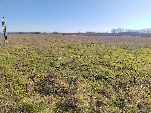 Alsónémedi 3. képe