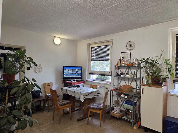 Dr. Bod Árpád, Sándorfalva 2. képe