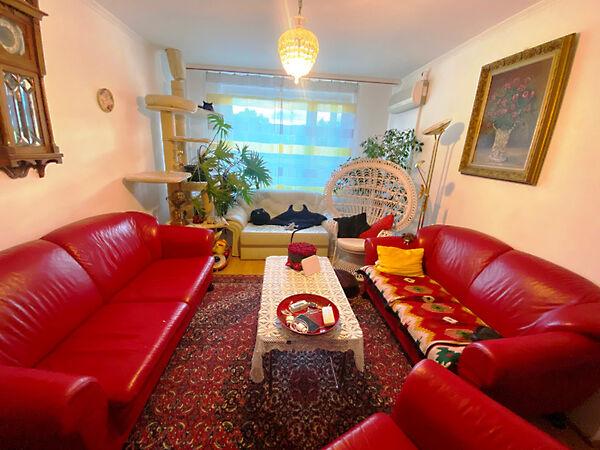 Csáky József, Szeged 2. képe