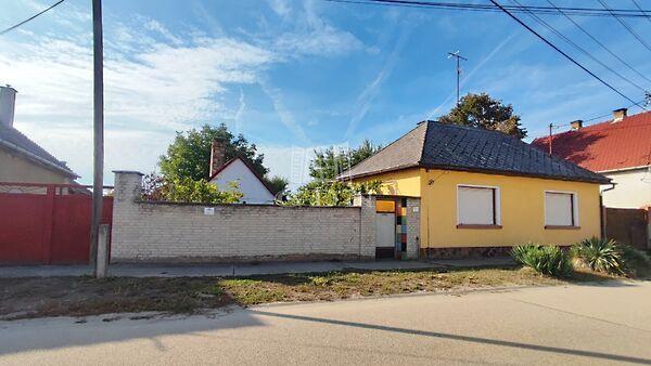 Szent Margit, Baja 3. képe