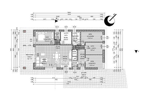 Szőlő, Dány 3. képe