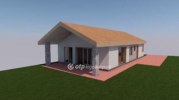 Szőlő, Dány 2. képe