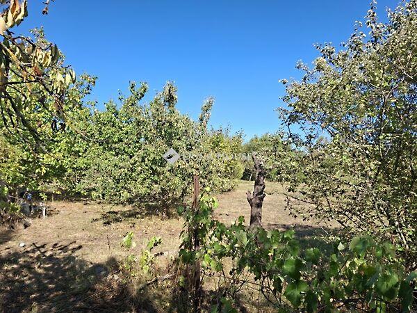 Vörösmarty Mihály, Vértesacsa 2. képe