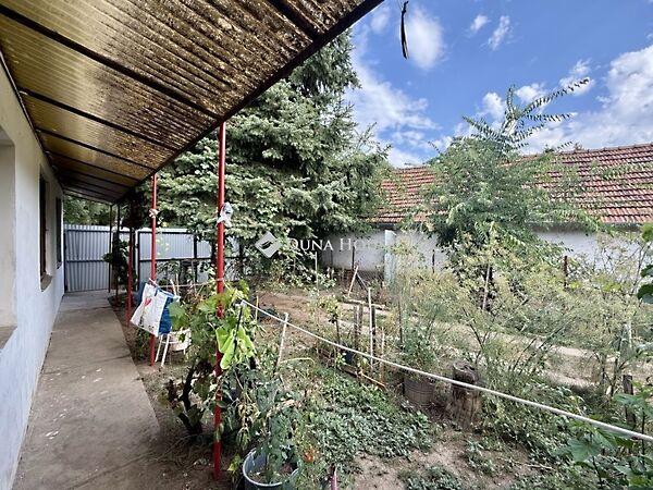 Wagner, Békéscsaba 3. képe