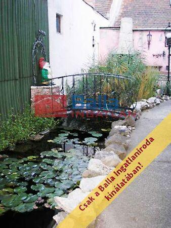 Darányi Ignác, Budapest, XVIII. kerület képe