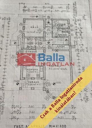 Erdő, Domony 2. képe