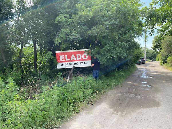 Barackos, Szentendre 3. képe