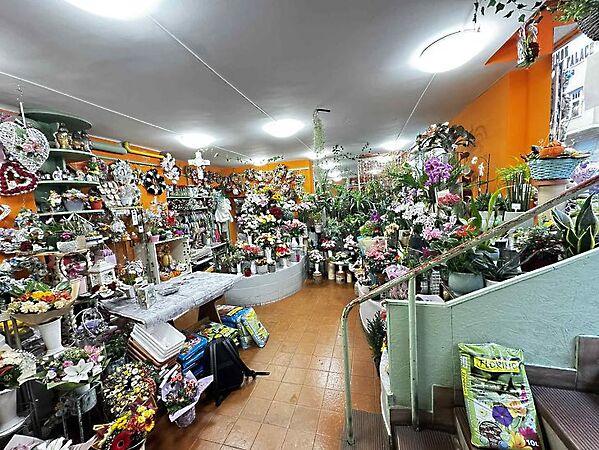 Ugocsa, Budapest, XII. kerület 2. képe