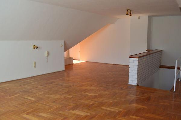 Turista, Budapest, II. kerület 3. képe