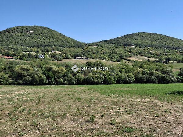 Vásár, Bajna képe