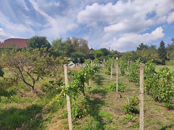 Csap, Pécs 2. képe