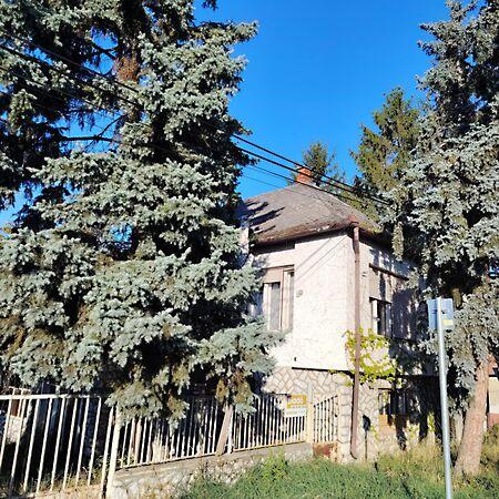 Béke, Tard 2. képe